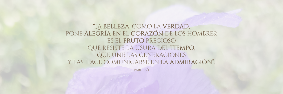 VisionMision 01