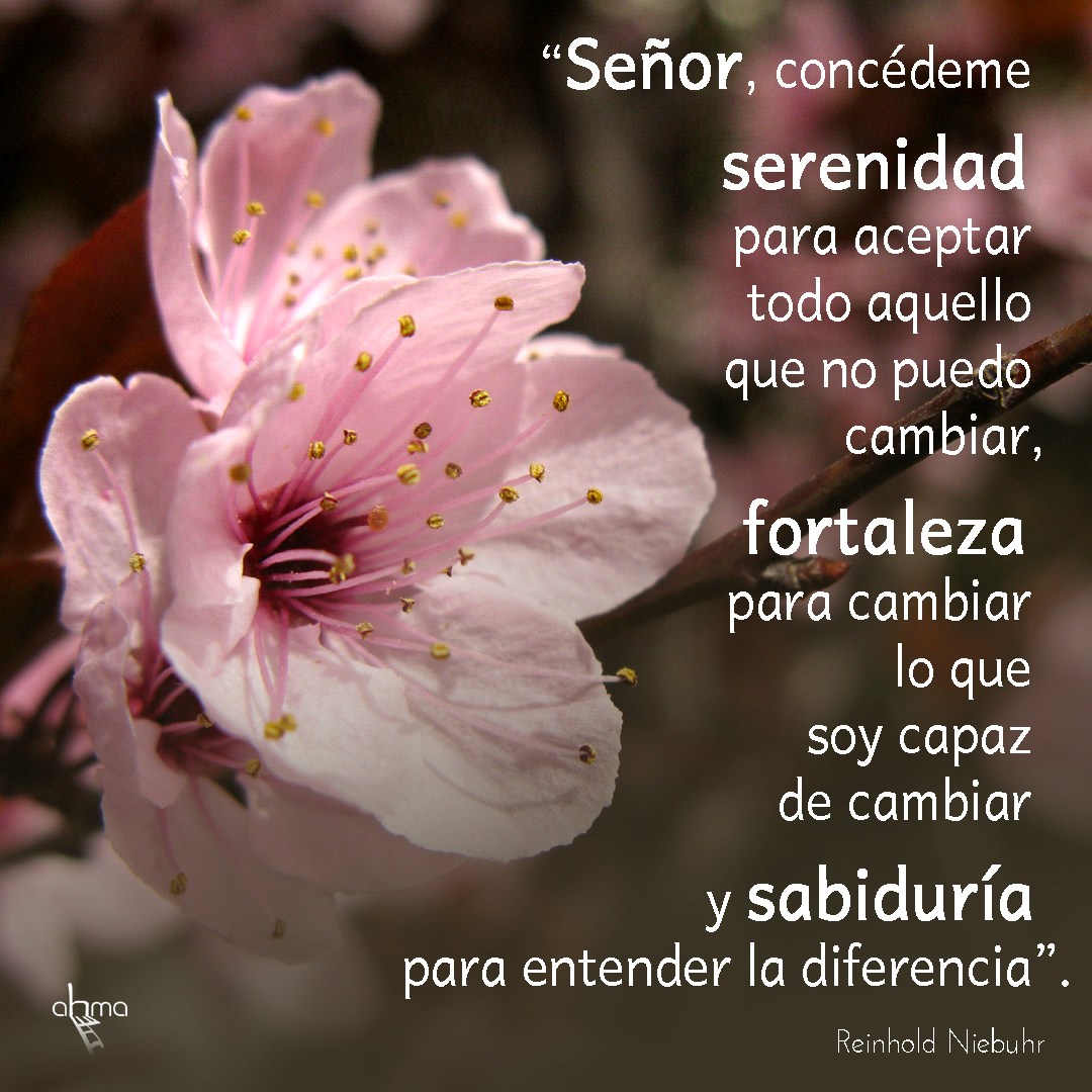 FLOR ROSA serenidad