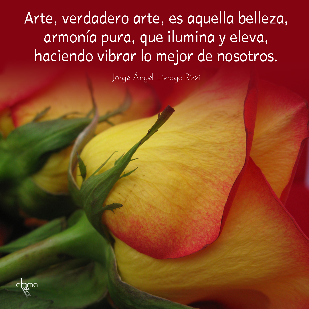 ROSA AMARILLA ROJA LoMejorDeNosotros